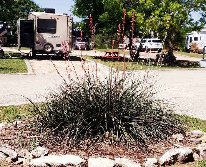 Hilltop RV Park Picture 8