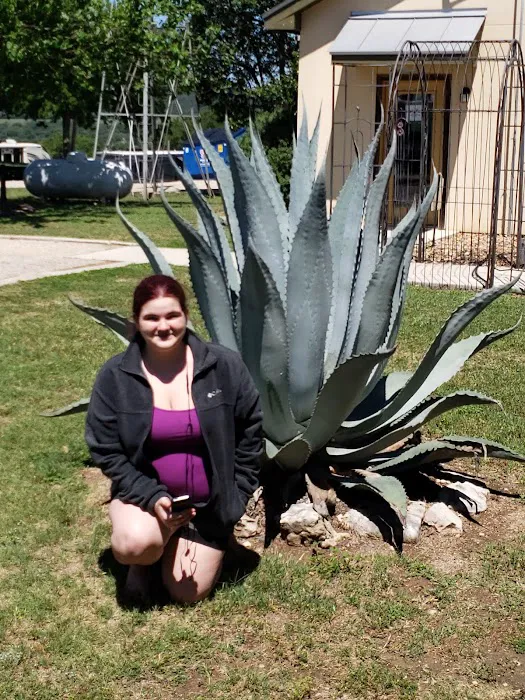 Hilltop RV Park Picture 6