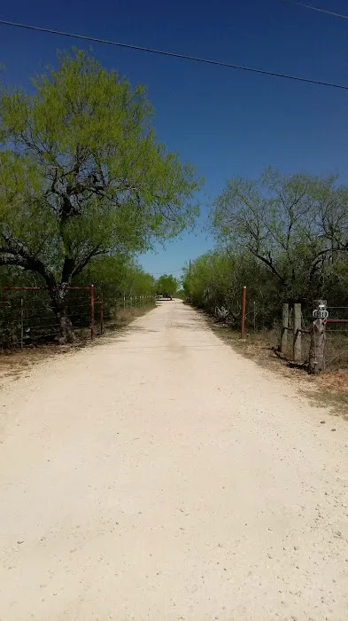 Freedom RV Resort Picture 3