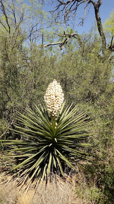 Freedom RV Resort Picture 1