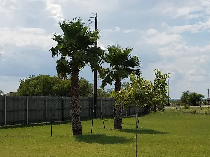 Atascosa RV Park Picture 3