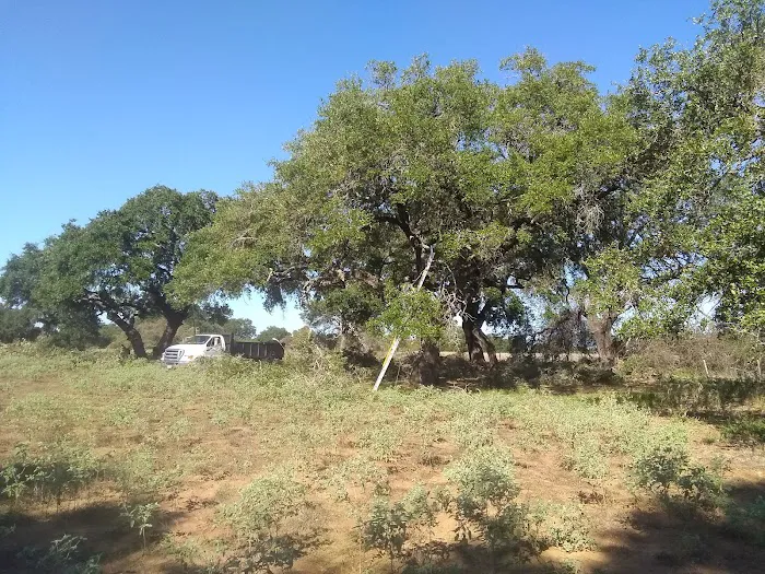 Country View RV Park Picture 2