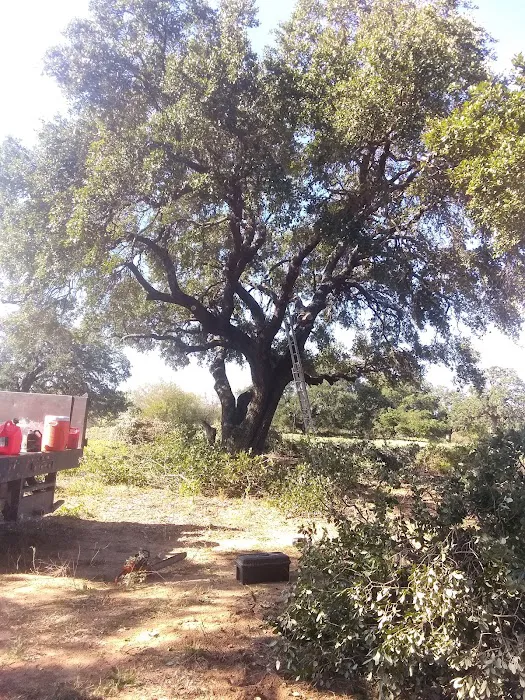 Country View RV Park Picture 6