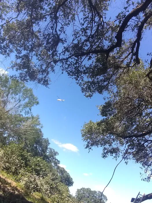 Country View RV Park Picture 10