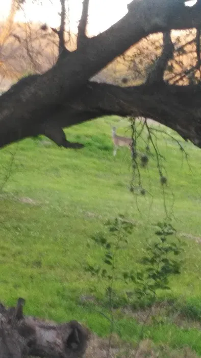 Martin Home RV Park Picture 1