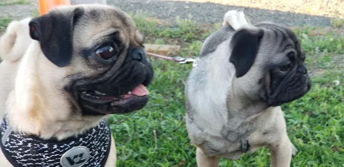 Bar M Mobile Home & RV Park Picture 9