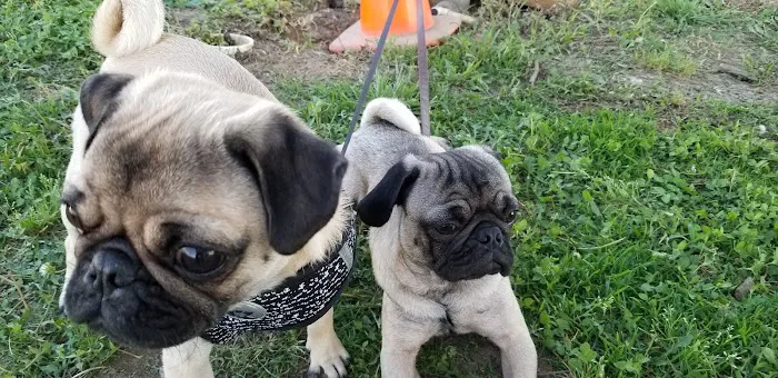 Bar M Mobile Home & RV Park Picture 7