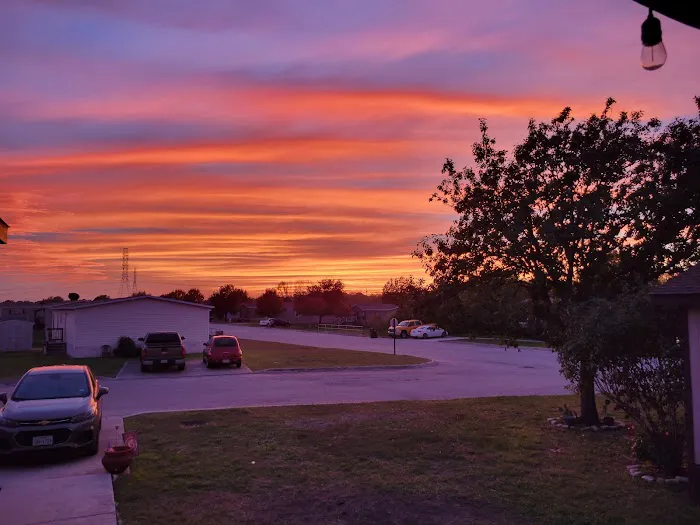 Walzem Park Manufactured Home Picture 9