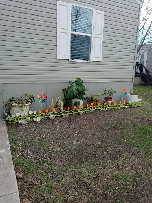 Walzem Park Manufactured Home Picture 5