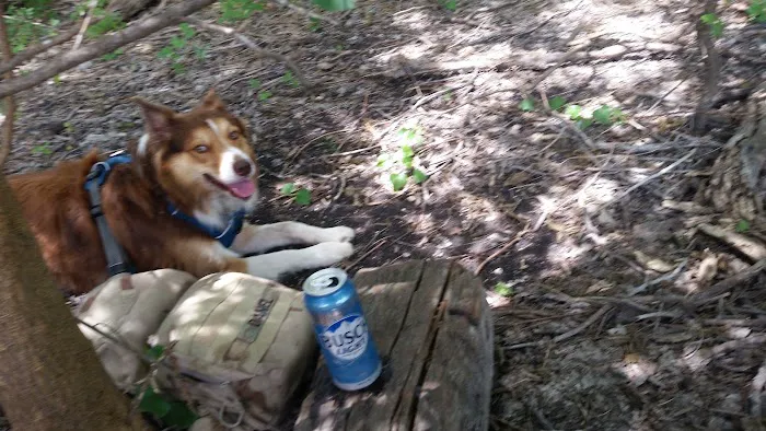 Val's Community Picture 3