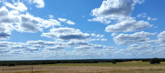 Pecan Grove Picture 2