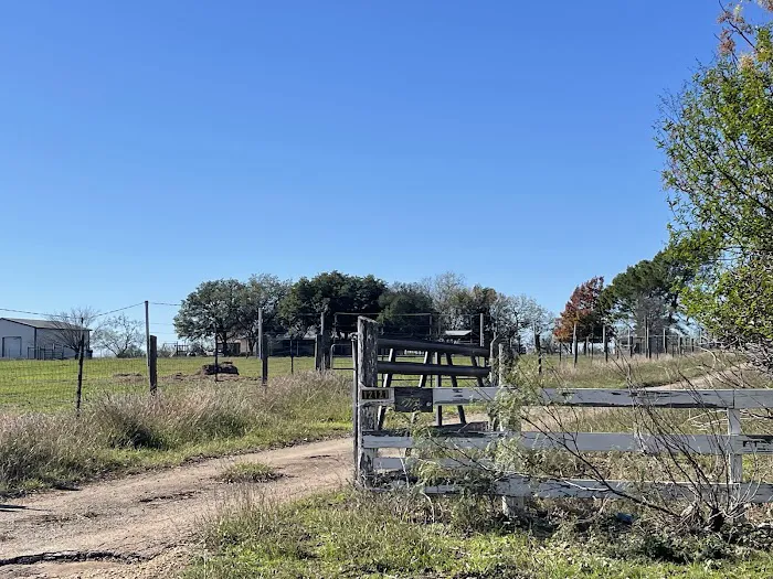 Pecan Grove Picture 6