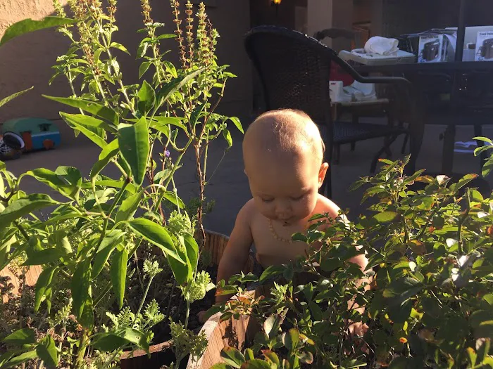 Angels In Goliad RV Park Picture 4