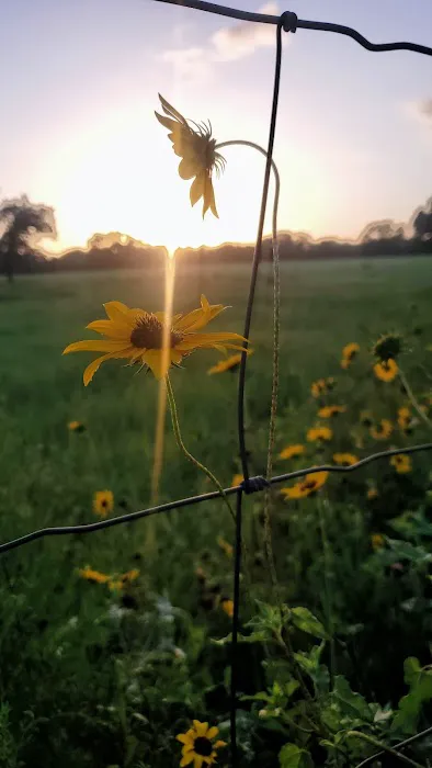 Aranama RV Park of Goliad Picture 5