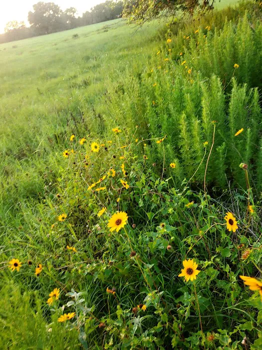 Aranama RV Park of Goliad Picture 7