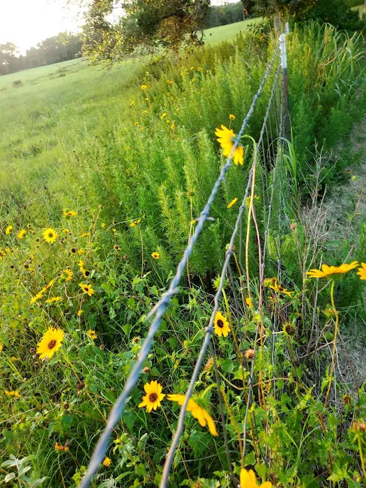 Aranama RV Park of Goliad Picture 9