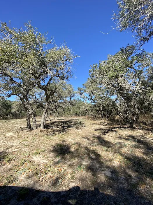 Aranama RV Park of Goliad Picture 4