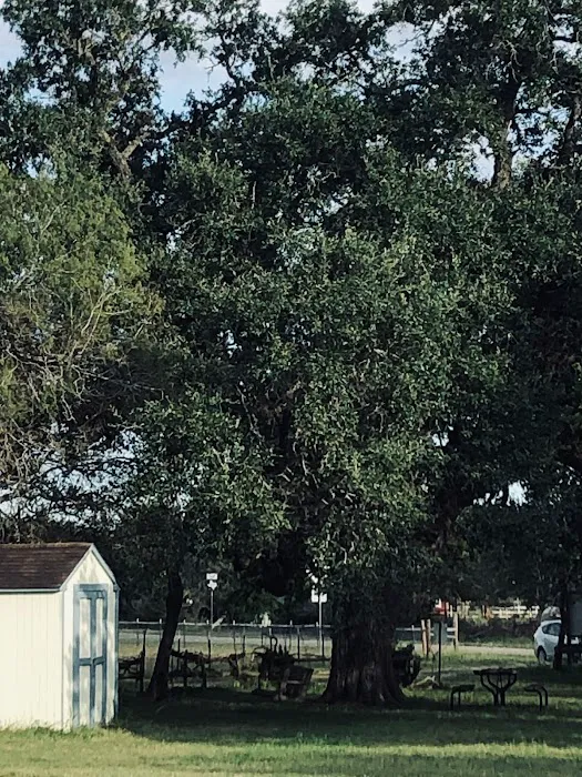 Encino Grande RV Park Picture 2