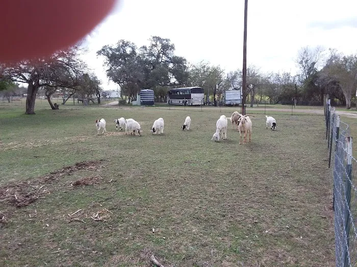 Encino Grande RV Park Picture 4