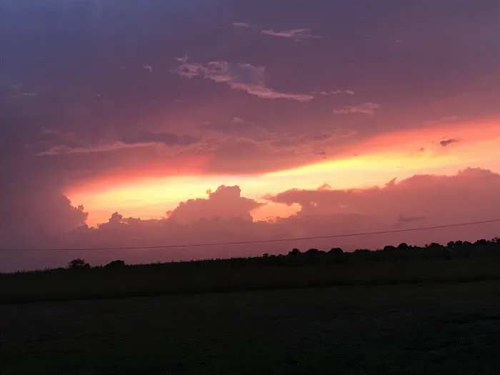 Ripple Road RV Picture 5