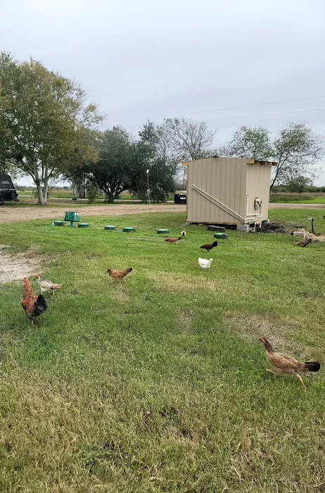 Call of Country RV Park Picture 6