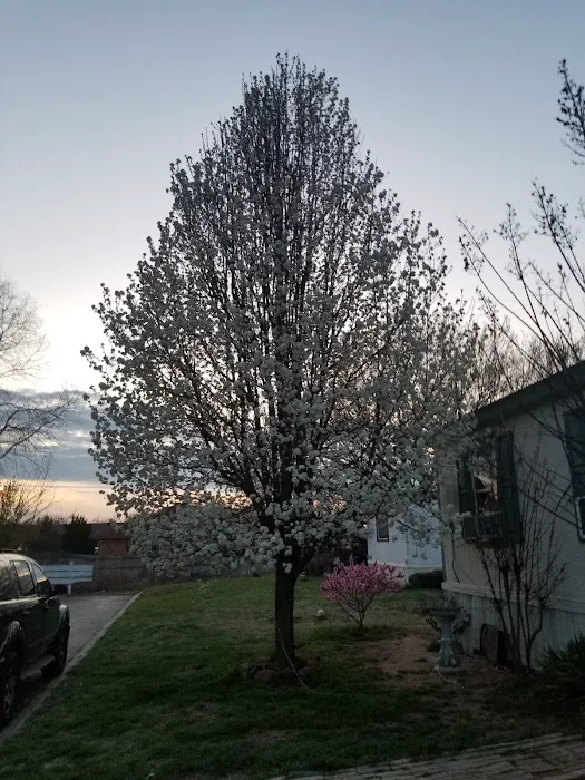 Canadian Shores Mobile Home Picture 10