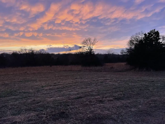 Redbud RV Park Picture 3
