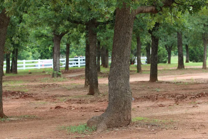 Pine country living mobile home park Picture 7