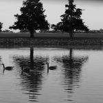 Cedar Lake Mobile Home & RV Park