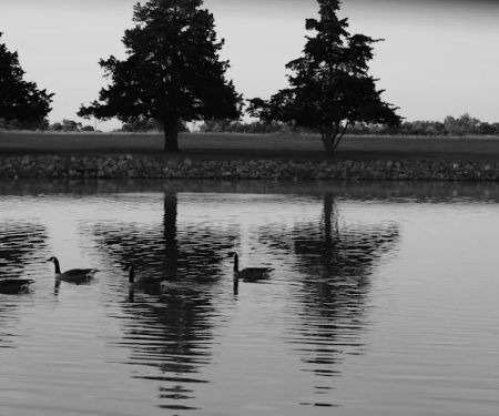 Cedar Lake Mobile Home & RV Park