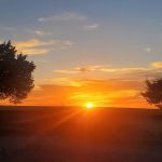 Tuttle Estates Mobile Home Park