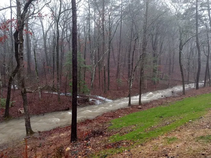 Mill Pond Village Mobile Home & R.V. Park Picture 3