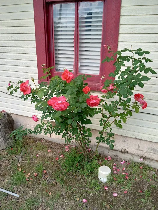 Mill Pond Village Mobile Home & R.V. Park Picture 2