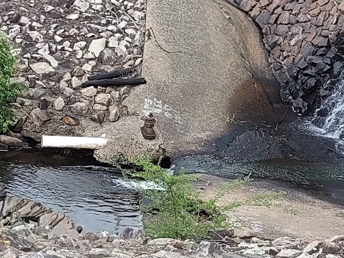 Mill Pond Village Mobile Home & R.V. Park Picture 10