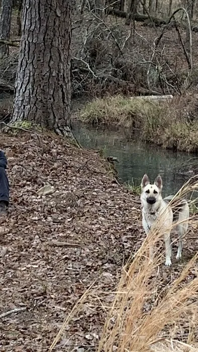 Rainbows End RV Resort Picture 8