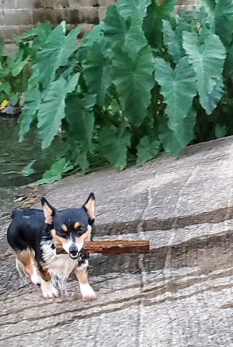 Leisure Landing RV Park Picture 6