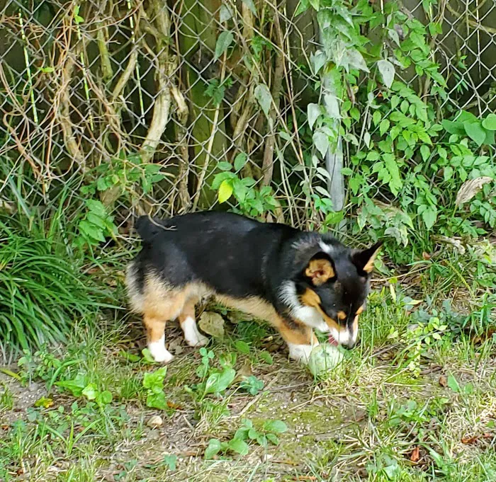 Leisure Landing RV Park Picture 2