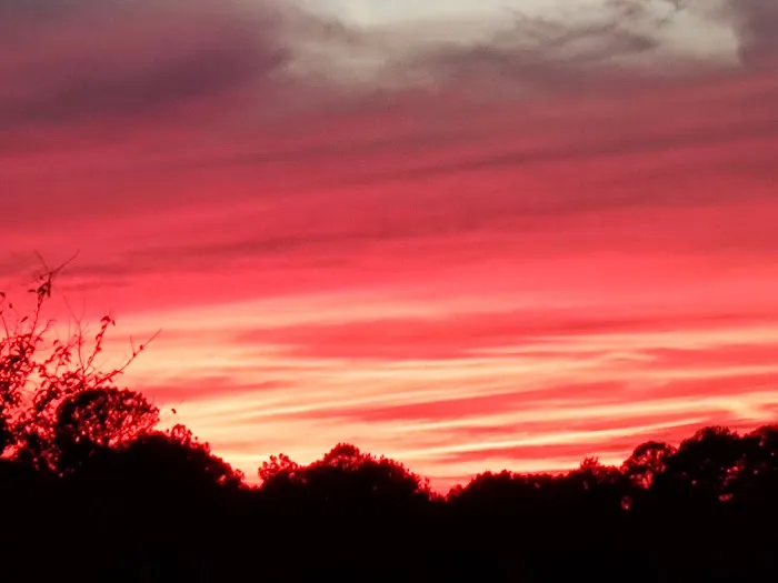 Hot Rod Hill RV Park Picture 6