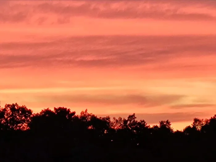 Hot Rod Hill RV Park Picture 4