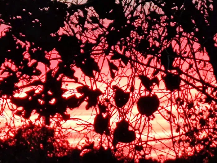 Hot Rod Hill RV Park Picture 10