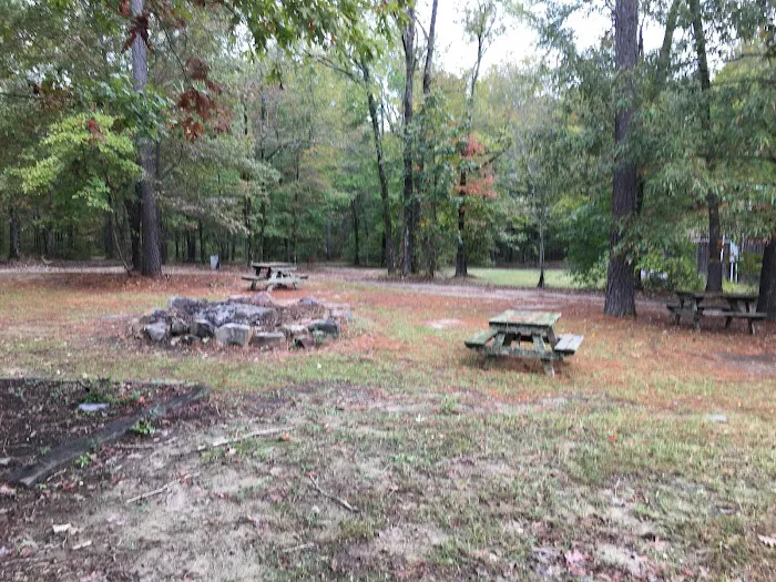 Bar Fifty RV Park & Horse Camp Picture 1