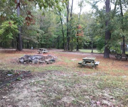 Bar Fifty RV Park & Horse Camp