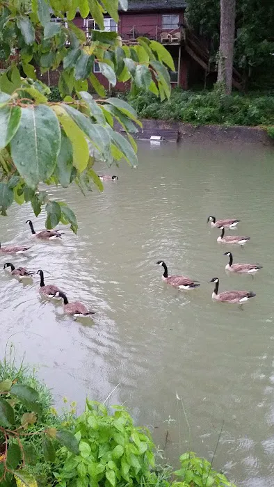 Young's Lakeshore RV Resort Picture 2