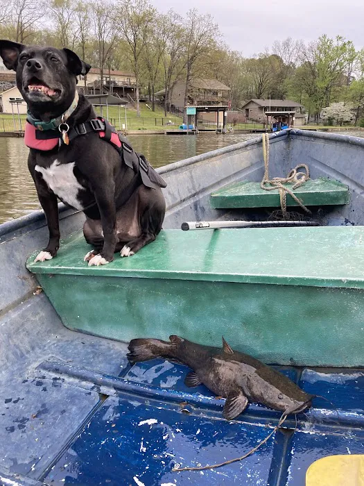 Young's Lakeshore RV Resort Picture 10