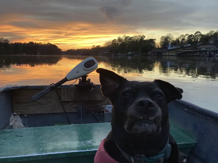 Young's Lakeshore RV Resort Picture 8