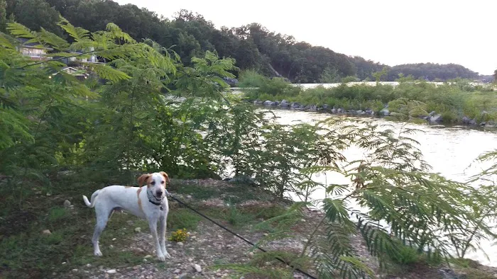 Young's Lakeshore RV Resort Picture 5