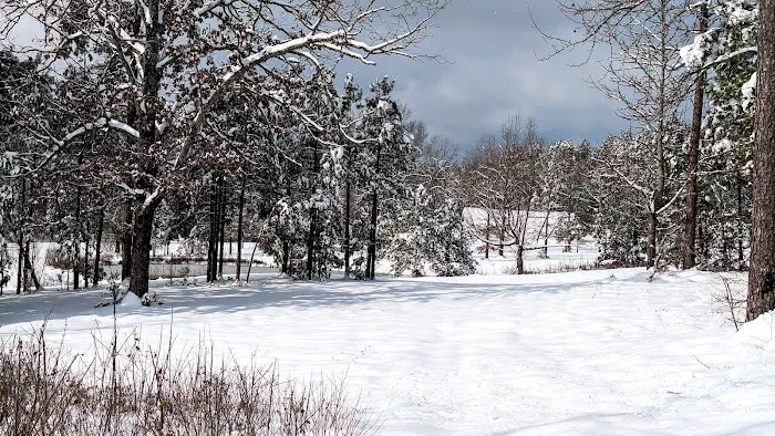 Ouachita Campground at Edendell Picture 3