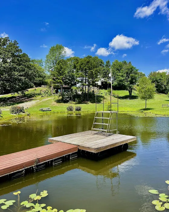 Ouachita Campground at Edendell Picture 1