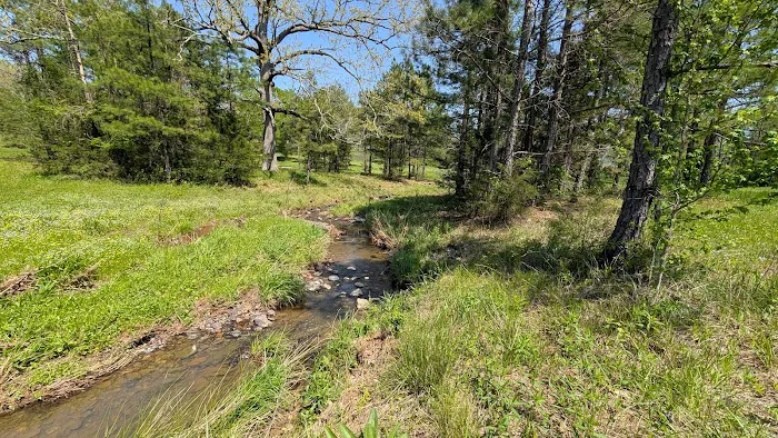 Ouachita Campground at Edendell Picture 6