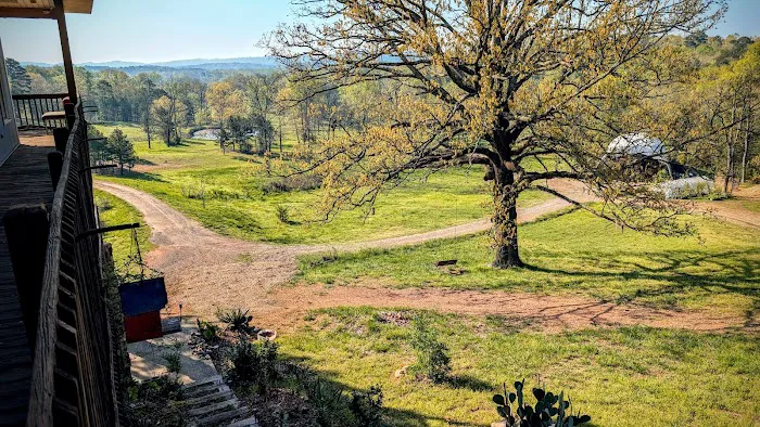 Ouachita Campground at Edendell Picture 7